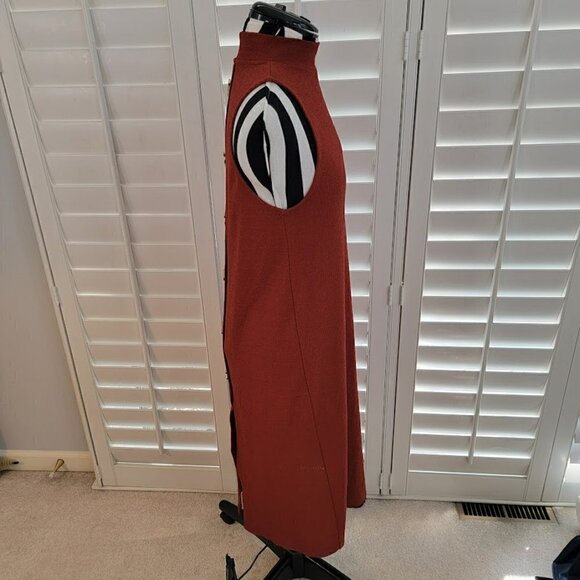 Zara Trafaluc Sleeveless Turtleneck Dress - Timeless and Sexy - Picture 5 of 9